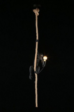 Подвесной светильник Aployt Magali APL.309.16.01 в Миассе - miass.ok-mebel.com | фото 3