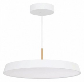 Подвесной светильник Arlight ELEGANT 033924(1) в Миассе - miass.ok-mebel.com | фото 2