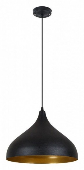 Подвесной светильник Arte Lamp Carmel A7076SP-1BK в Миассе - miass.ok-mebel.com | фото 2