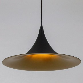 Подвесной светильник Arte Lamp Carmel A7080SP-1BK в Миассе - miass.ok-mebel.com | фото