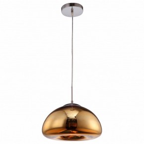 Подвесной светильник Arte Lamp Swift A8041SP-1GO в Миассе - miass.ok-mebel.com | фото 2