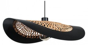 Подвесной светильник Arte Lamp Woodstock A7059SP-1BK в Миассе - miass.ok-mebel.com | фото