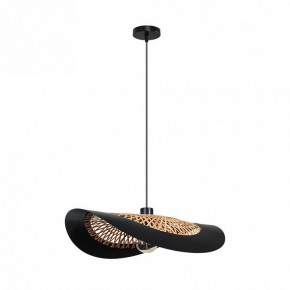 Подвесной светильник Arte Lamp Woodstock A7059SP-1BK в Миассе - miass.ok-mebel.com | фото 2