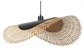 Подвесной светильник Arte Lamp Woodstock A7063SP-1BK в Миассе - miass.ok-mebel.com | фото