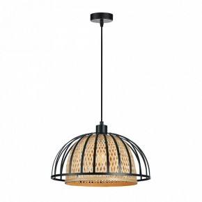 Подвесной светильник Arte Lamp Woodstock A7071SP-1BK в Миассе - miass.ok-mebel.com | фото