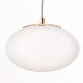 Подвесной светильник Citilux Atman Smart CL226A053 в Миассе - miass.ok-mebel.com | фото 10