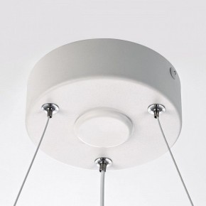 Подвесной светильник Citilux Trio CL215B050 в Миассе - miass.ok-mebel.com | фото 10