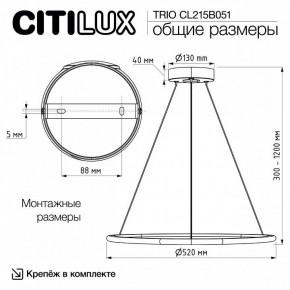 Подвесной светильник Citilux Trio CL215B051 в Миассе - miass.ok-mebel.com | фото 8