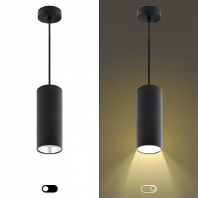 Подвесной светильник Эра  PL12 GX53 BK/SL в Миассе - miass.ok-mebel.com | фото 5