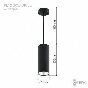 Подвесной светильник Эра  PL12 GX53 BK/SL в Миассе - miass.ok-mebel.com | фото 8