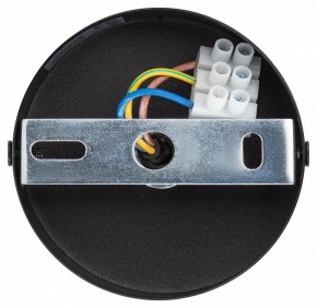 Подвесной светильник Эра  PL12 GX53 BK/SL в Миассе - miass.ok-mebel.com | фото 9