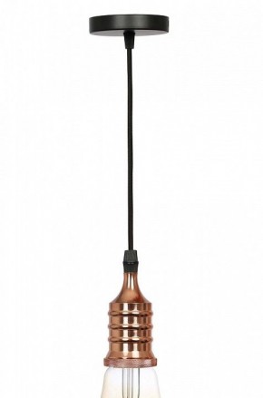 Подвесной светильник Эра PL13 Б0048525 в Миассе - miass.ok-mebel.com | фото 3