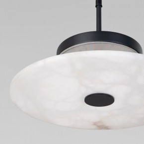 Подвесной светильник Eurosvet Thasos 40342 LED черный в Миассе - miass.ok-mebel.com | фото 8