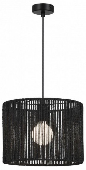 Подвесной светильник EVOLUCE ETTAN SLE6024-403-01 в Миассе - miass.ok-mebel.com | фото 2