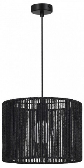 Подвесной светильник EVOLUCE ETTAN SLE6024-403-01 в Миассе - miass.ok-mebel.com | фото 4