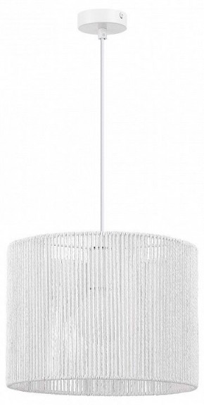 Подвесной светильник EVOLUCE ETTAN SLE6024-503-01 в Миассе - miass.ok-mebel.com | фото 4