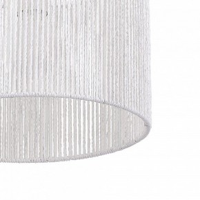 Подвесной светильник EVOLUCE ETTAN SLE6024-503-01 в Миассе - miass.ok-mebel.com | фото 8