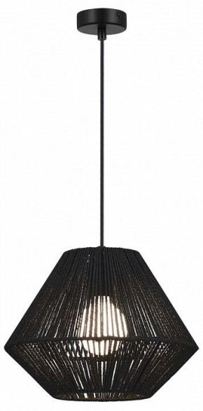 Подвесной светильник EVOLUCE ETTAN SLE6025-403-01 в Миассе - miass.ok-mebel.com | фото 2
