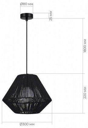 Подвесной светильник EVOLUCE ETTAN SLE6025-403-01 в Миассе - miass.ok-mebel.com | фото 5