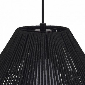 Подвесной светильник EVOLUCE ETTAN SLE6025-403-01 в Миассе - miass.ok-mebel.com | фото 7