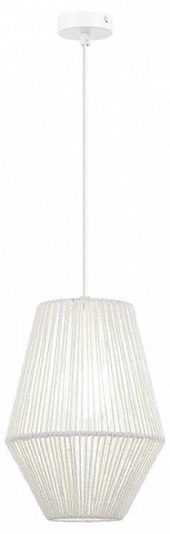 Подвесной светильник EVOLUCE ETTAN SLE6025-513-01 в Миассе - miass.ok-mebel.com | фото