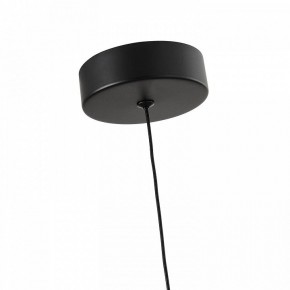Подвесной светильник Favourite Cattivo 4452-1P в Миассе - miass.ok-mebel.com | фото 7