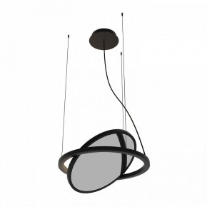 Подвесной светильник Favourite Pany 4636-1P в Миассе - miass.ok-mebel.com | фото 2