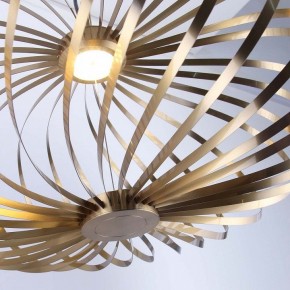 Подвесной светильник Favourite Spring 4680-1P в Миассе - miass.ok-mebel.com | фото 5