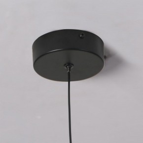 Подвесной светильник Favourite Wilet 4656-1P в Миассе - miass.ok-mebel.com | фото 10