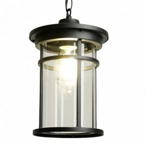 Подвесной светильник Feron PL765 51819 в Миассе - miass.ok-mebel.com | фото 3