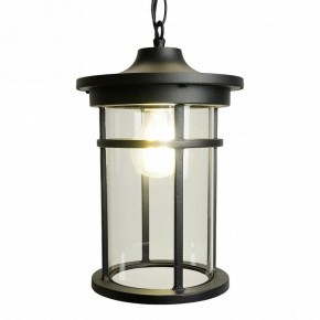 Подвесной светильник Feron PL765 51819 в Миассе - miass.ok-mebel.com | фото 4