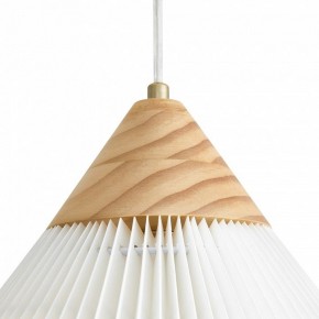 Подвесной светильник Freya Kinsley FR5533PL-01BS в Миассе - miass.ok-mebel.com | фото 8