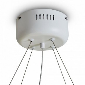 Подвесной светильник Freya Rain FR5546PL-L60W в Миассе - miass.ok-mebel.com | фото 9