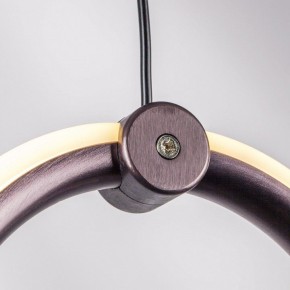 Подвесной светильник Lightstar Caramello 796289 в Миассе - miass.ok-mebel.com | фото 10