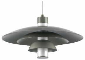 Подвесной светильник Lightstar Erbareo 799019 в Миассе - miass.ok-mebel.com | фото