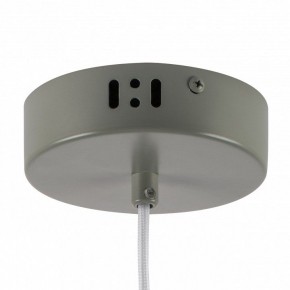 Подвесной светильник Lightstar Erbareo 799019 в Миассе - miass.ok-mebel.com | фото 5