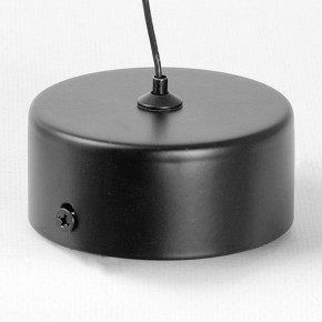 Подвесной светильник Lussole Blount LSP-7356 в Миассе - miass.ok-mebel.com | фото 6