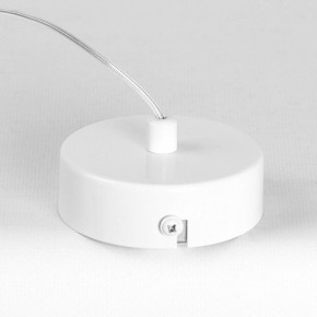 Подвесной светильник Lussole Gregg LSP-8965 в Миассе - miass.ok-mebel.com | фото 6