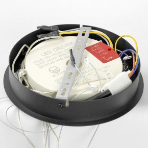Подвесной светильник Lussole Hale LSP-7380 в Миассе - miass.ok-mebel.com | фото 6