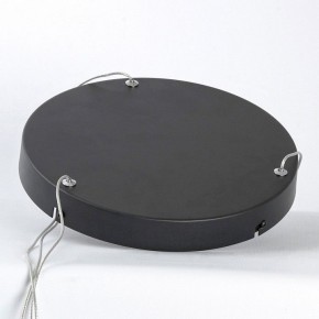 Подвесной светильник Lussole HARDIN LSP-7427 в Миассе - miass.ok-mebel.com | фото 4