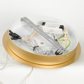 Подвесной светильник Lussole Hopkins LSP-7400 в Миассе - miass.ok-mebel.com | фото 5