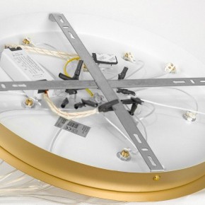Подвесной светильник Lussole Hopkins LSP-7404 в Миассе - miass.ok-mebel.com | фото 4
