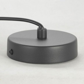 Подвесной светильник Lussole LSP-849 LSP-8490 в Миассе - miass.ok-mebel.com | фото 6