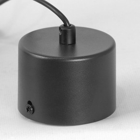 Подвесной светильник Lussole Milam LSP-7450 в Миассе - miass.ok-mebel.com | фото 7