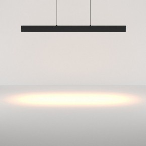 Подвесной светильник Maytoni Ephoria P109PL-36W2.7-6K-B в Миассе - miass.ok-mebel.com | фото 3