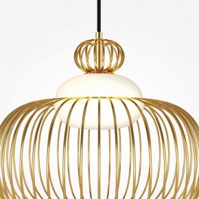 Подвесной светильник Maytoni Levitation MOD376PL-01G в Миассе - miass.ok-mebel.com | фото 6