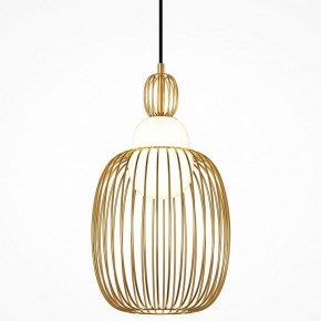 Подвесной светильник Maytoni Levitation MOD376PL-01G1 в Миассе - miass.ok-mebel.com | фото