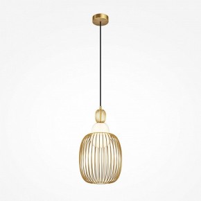 Подвесной светильник Maytoni Levitation MOD376PL-01G1 в Миассе - miass.ok-mebel.com | фото 2