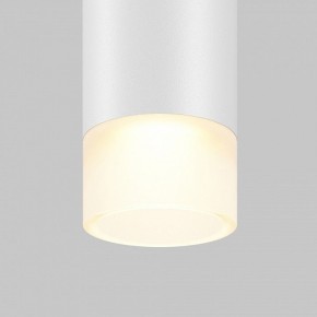 Подвесной светильник Maytoni Skim TR191-1-3W3K-M-BW в Миассе - miass.ok-mebel.com | фото 2