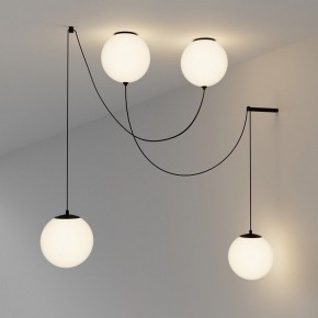 Подвесной светильник Maytoni Twins MOD427PL-L20B3K1 в Миассе - miass.ok-mebel.com | фото 4